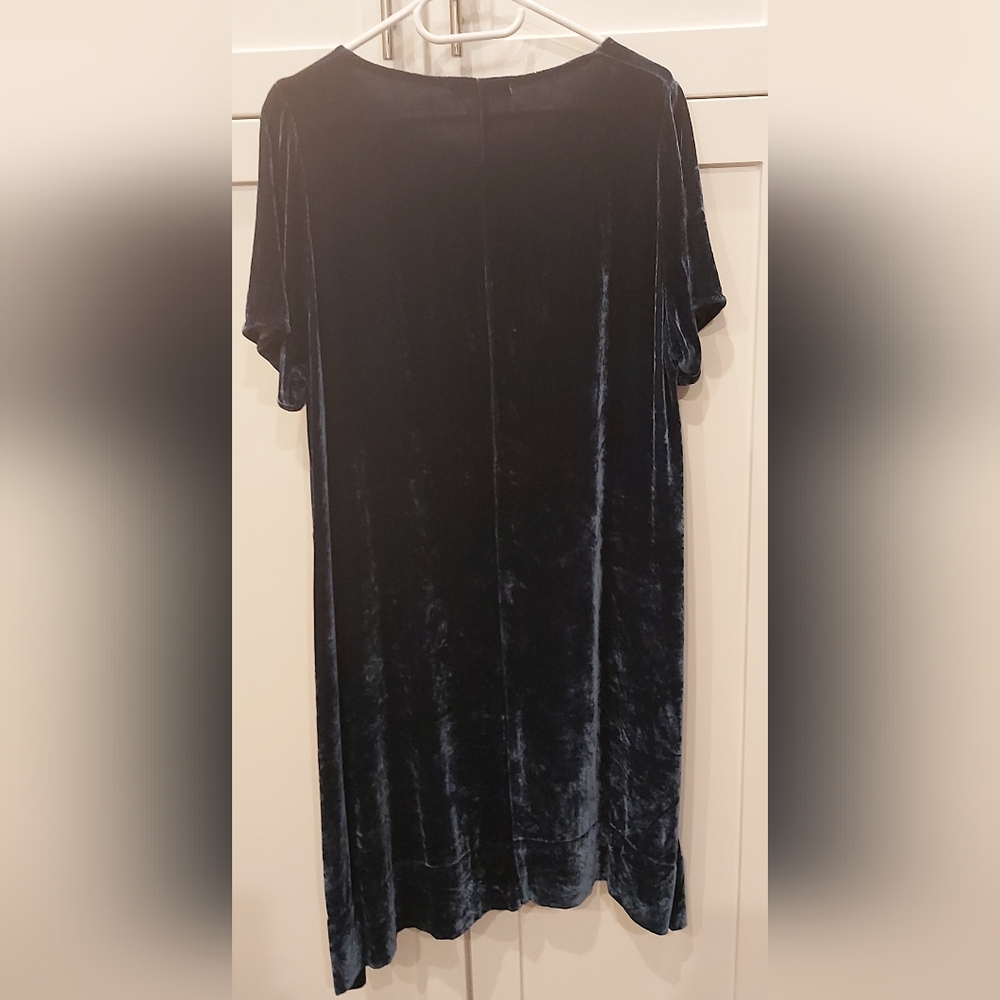Cut Loose Elegant Velvet Dress - Picture 6 of 7
